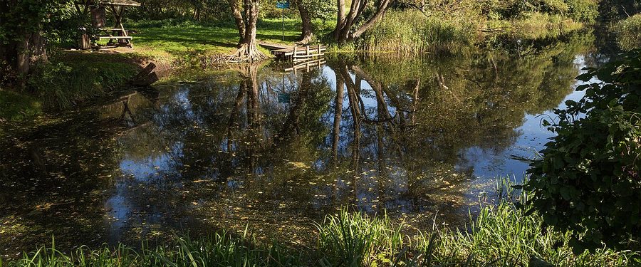 A stretch of the river Warnow in Mecklenburg